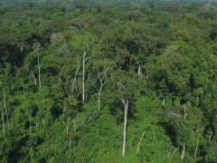 Togo: A biodiversity project has been launched in the central region