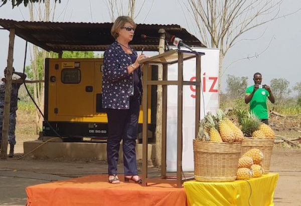 Togo: European Union and German cooperation invest CFA4bn in the pineapple sector  