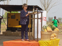 Togo: European Union and German cooperation invest CFA4bn in the pineapple sector  