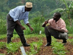 Kara Agropole Project : Various key actors are being trained to help boost the capacities of farmers