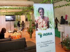 AGRA delegation to be present at the coming National Togolese Farmer Forum