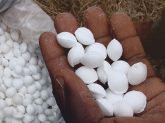 Lomé will host West Africa Fertilizer Forum next April 24 to 26