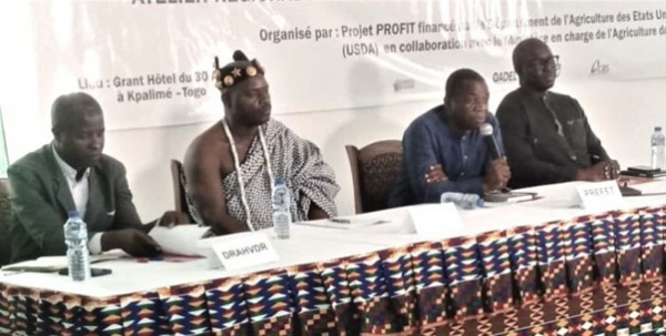 Togo : démarrage du Projet de promotion des filières horticoles, financé par l&#039;USDA