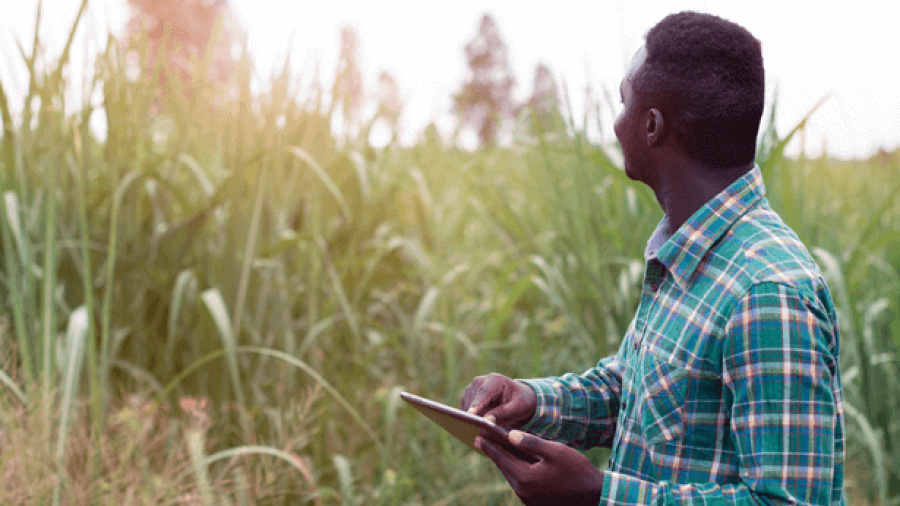 Togo : le ministère de l’Agriculture lance une plateforme d&#039;E-learning