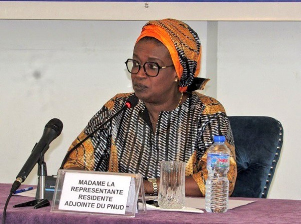 Lutte contre le Changement climatique : nouvel appui du PNUD au Togo