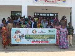 Togo Hosts Customs Training for Women Engaged in Cross-Border Trade