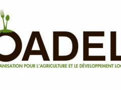 OADEL releases a catalogue promoting “Made in Togo” products