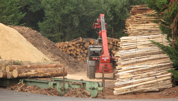 Togo: Un dialogue national sur la protection des ressources forestières, face à l&#039;utilisation du bois de chauffe