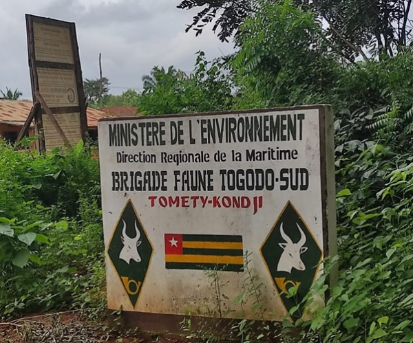 Biodiversité : Le WACA-Togo et la préservation de l’aire protégée de Togodo