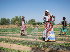 Togo: Construction of wells in the Kara agropole area will soon begin