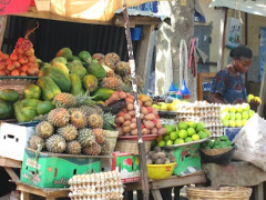 Togo to spend CFA478 million to boost its phytosanitary control and certification system for vegetables and fruits