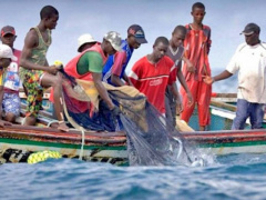 Fishing resumed at Nangbeto