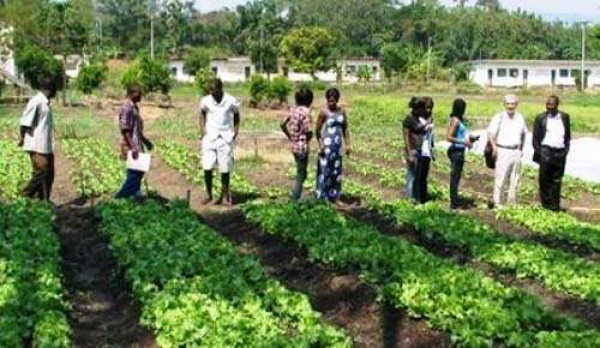 Togo : Public authorities decide to restructure the national school of agriculture of Tové