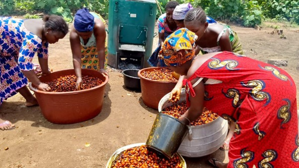 Du manuel au moderne : comment le WACA appuie les transformatrices de palmiste à Momé Katihoé