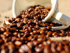 Coffee: Lomé hosts the IACO’s annual meetings this year