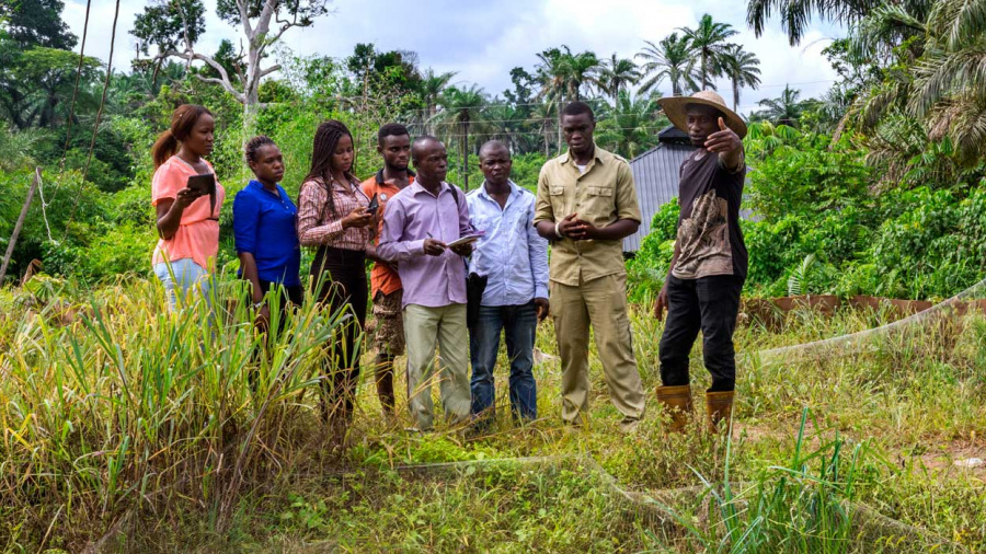 Togo: du cash pour 600 entrepreneurs ruraux sur les 3 prochains mois