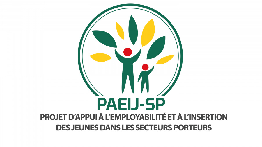 Démarrage en septembre prochain d’une mission d’évaluation finale du PAEIJ-SP