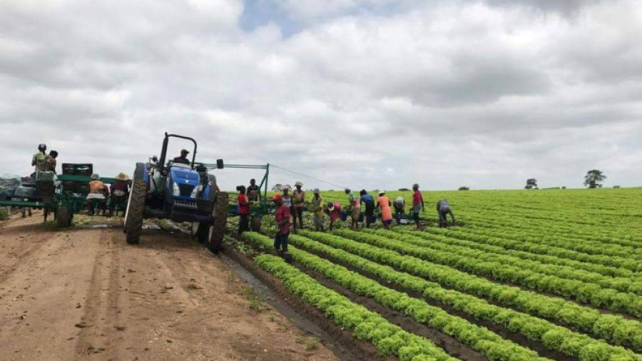 Les PPP vont être au cœur du développement des zones de transformation agricole