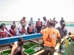 Togo to dedicate over a billion CFA to fishing and aquaculture in 2023