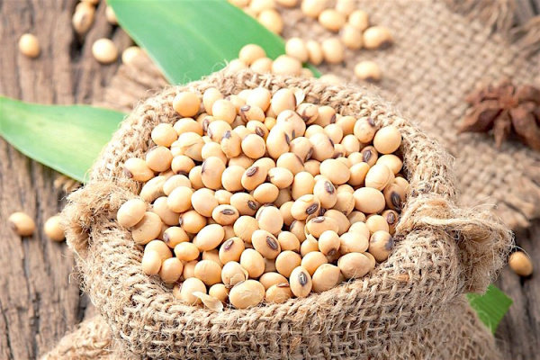 Enhanced Integrated Framework (WTO) : $2.4 million spent to revive soybean sector in Togo