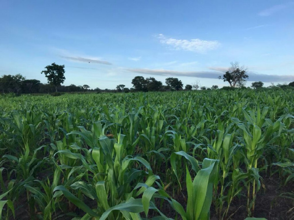 Développement agricole : la situation des ZAAP à fin novembre 2023