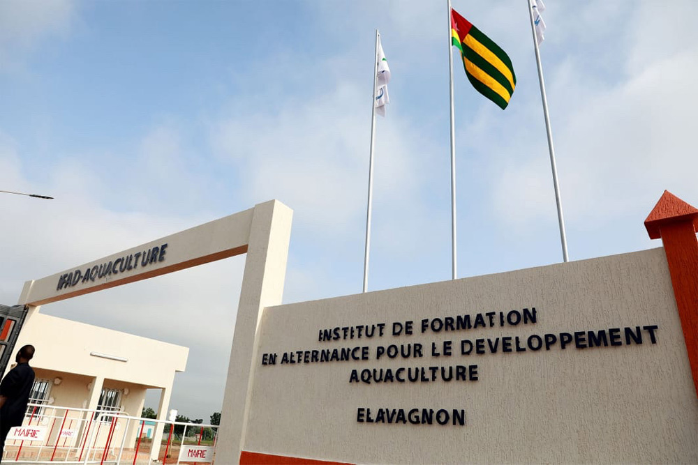 Rentrée 2020-2021 : l&#039;IFAD d&#039;ELAVAGNON recrute !