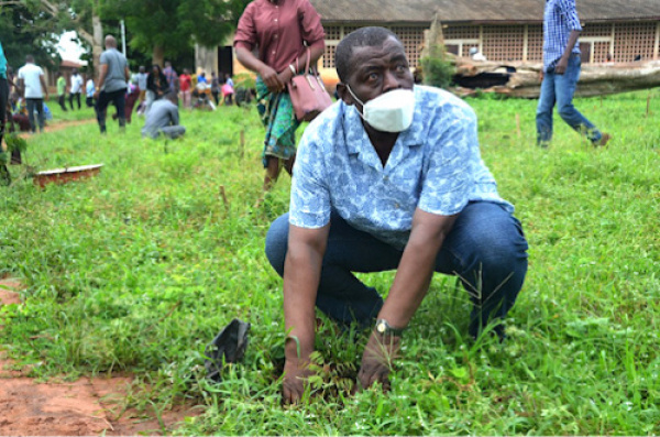 Togo : 2 millions d&#039;arbres à mettre en terre pour la Journée de l&#039;arbre 2024