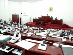 Togo: Parliament adopts amended budget