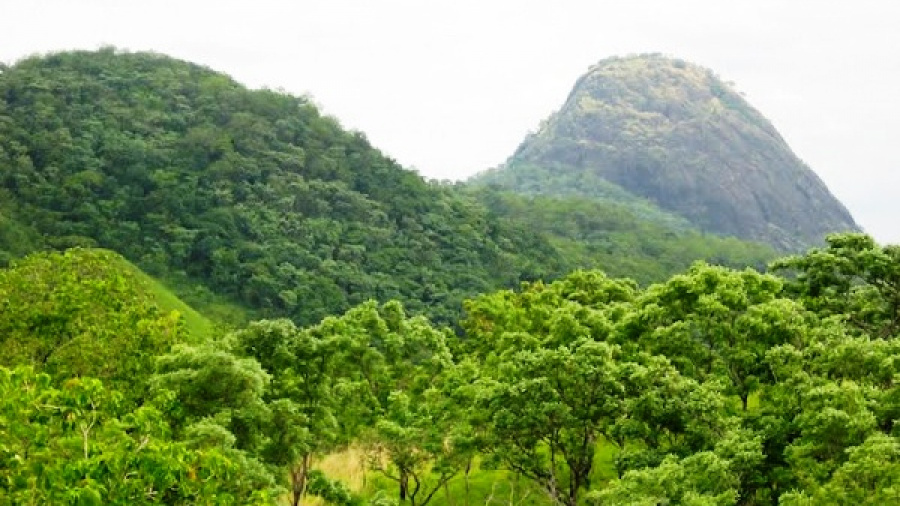 Togo : l’Inde finance à hauteur de 1 million $, la préservation de la biodiversité dans le parc national de Fazao-Malfakassa