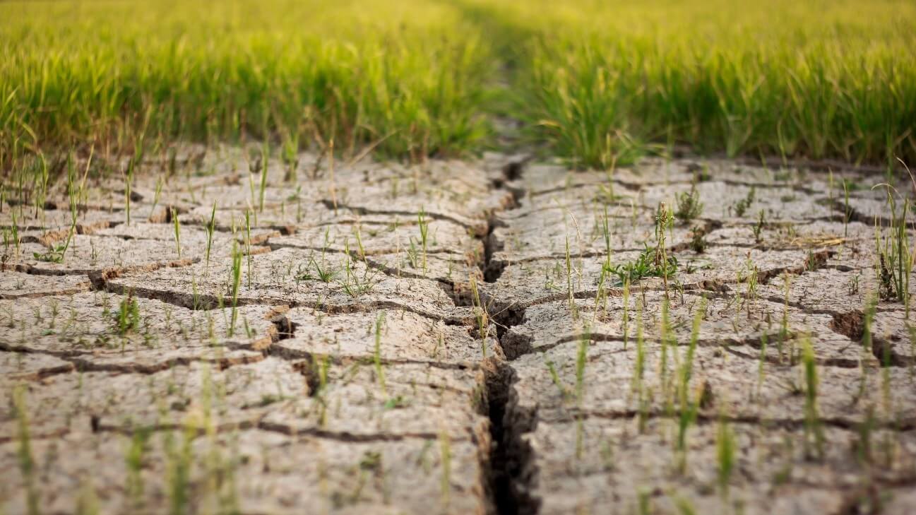 Togo : les aléas climatiques ont entraîné 26 milliards FCFA de perte de productivité en 2020