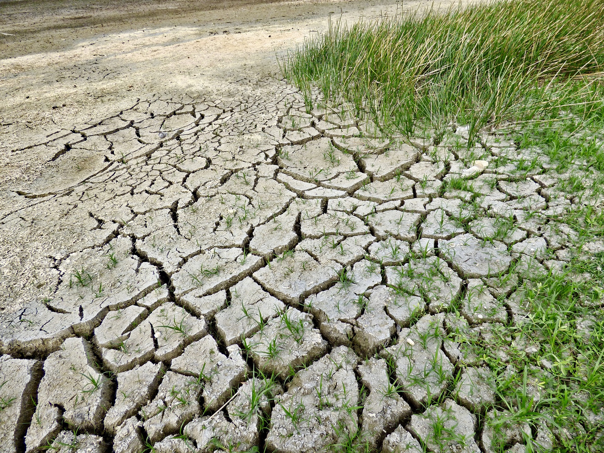 Le Togo prépare un document sur son action climatique