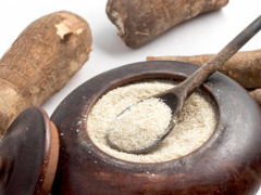 Togo conducts the Pilot Stage of AfDB Pan-African Manioc Development Project