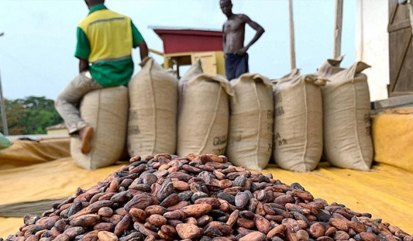 Prix indicatifs du café et du cacao jusqu’au 30 avril 2022