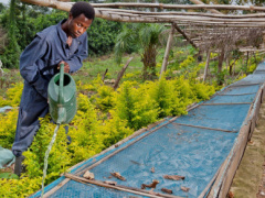 Togo to build irrigation systems and superstructures in 50 agricultural zones