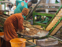 MIFA injects over CFA500 million in a local cashew producer