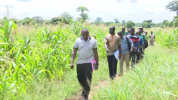 Togo : un 5ème Recensement national de l’agriculture annoncé, 12 ans après