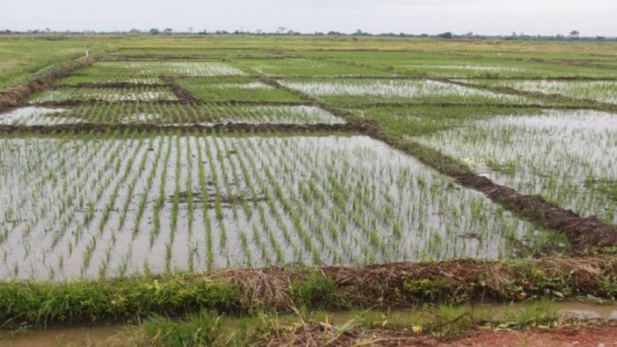 Togo : Des travaux d&#039;aménagement des terres agricoles prévus dans les 5 régions économiques