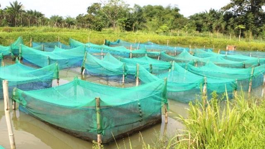 Togo: un pont d’environ 90 mètres linéaires sur le fleuve Zio et un canal d’irrigation