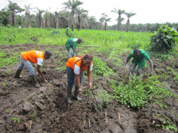 Togo : un appui technique et financier en perspective pour 150  agripreneurs