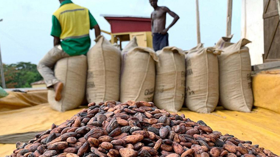 Exportations : le cacao monte, le café s’effondre