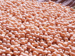 Togo remains EU’s top organic soybean supplier, worldwide