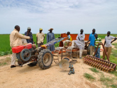 Togo: BOA Togo will loan XOF7 billion to the agricultural sector in 2020