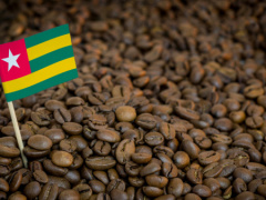 Coffee: Togo’s output was up by 55.9% in the 2021-2022 season