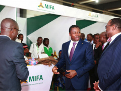 Togo: President Gnassingbé launches MIFA to boost agribusiness